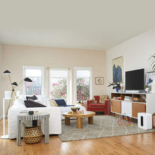 Load image into Gallery viewer, Sonos Sub - The Wireless Subwoofer for Deep Bass
